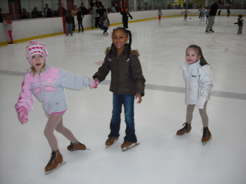 toyota arena public ice skating times #5